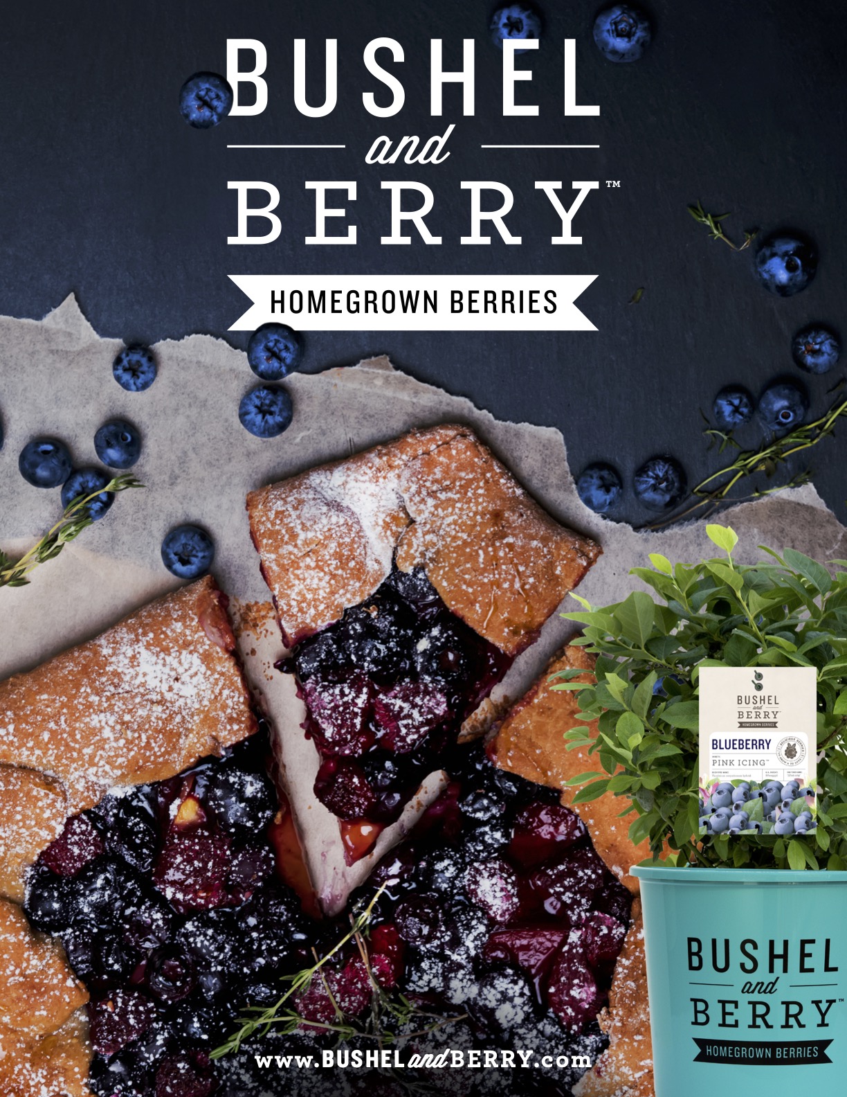 Bushel and Berry sheet