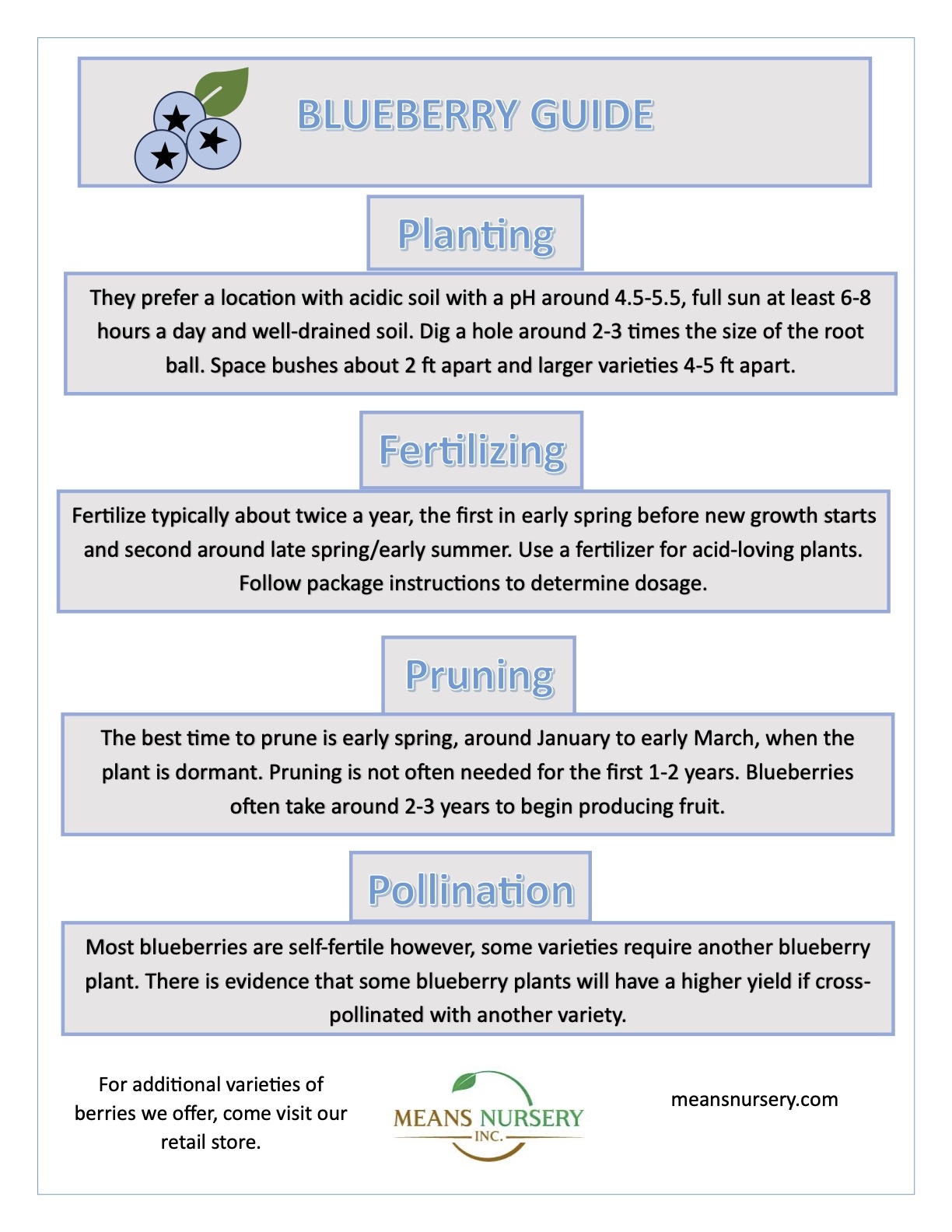 Blueberry Planting Guide