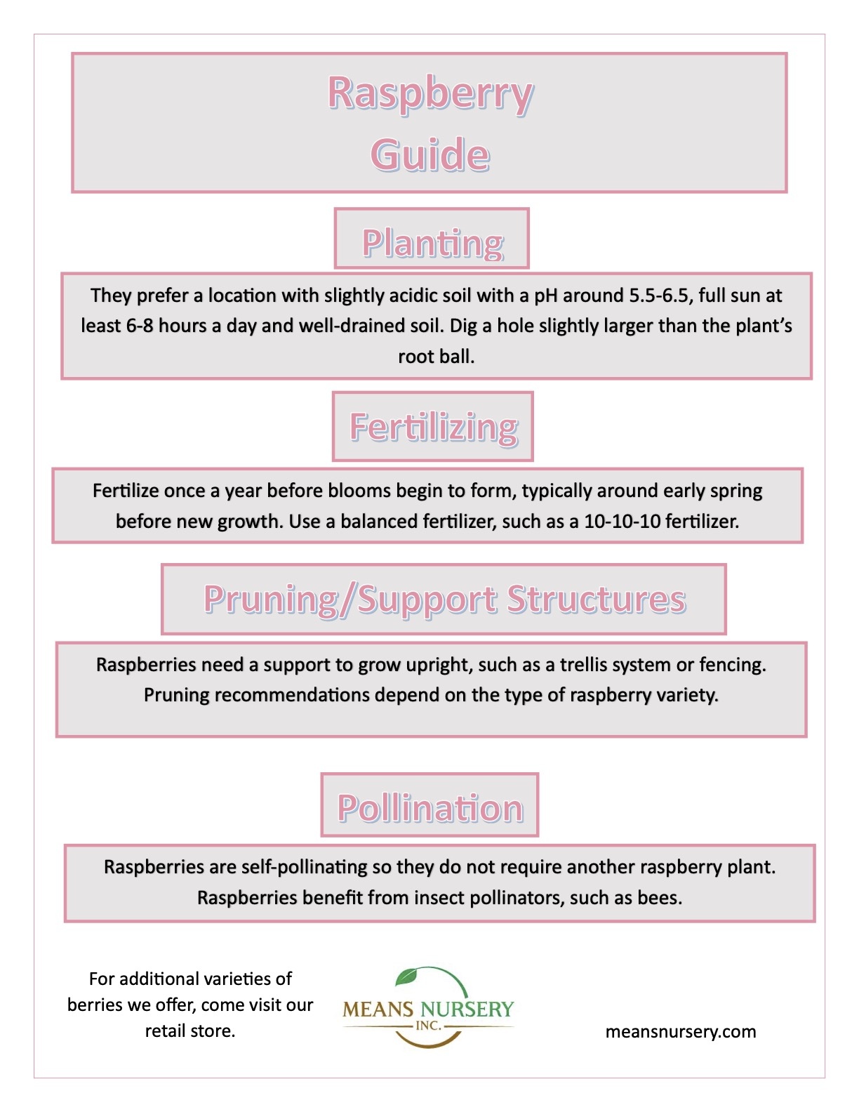 Raspberry Growing Guide