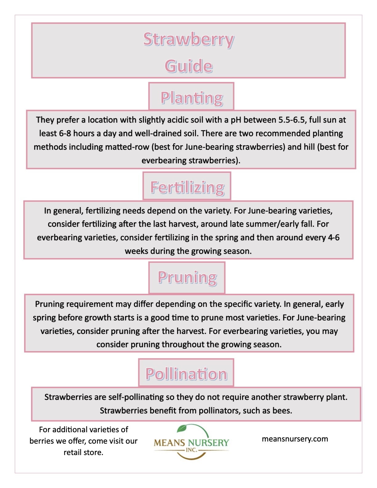 Strawberry Growing Guide