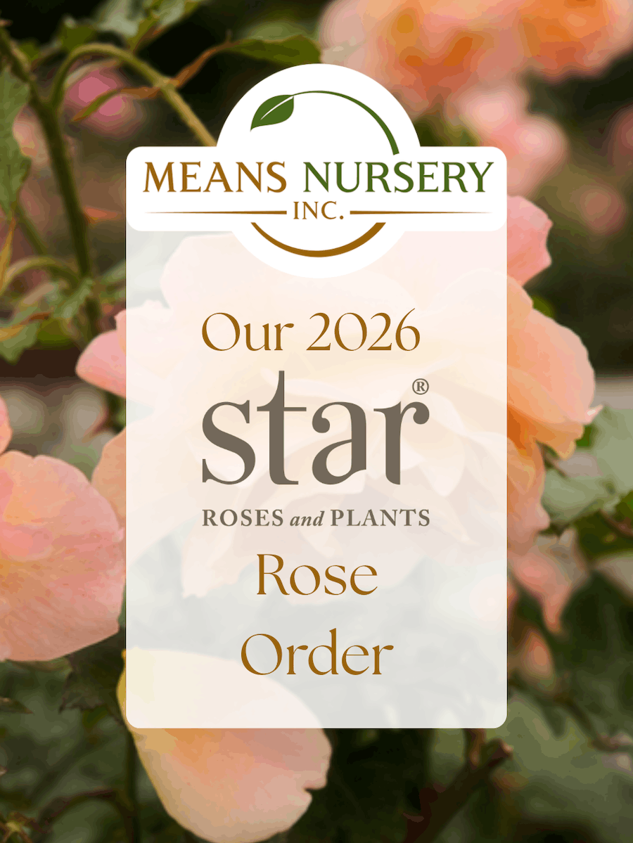 Rose Varieties 2026