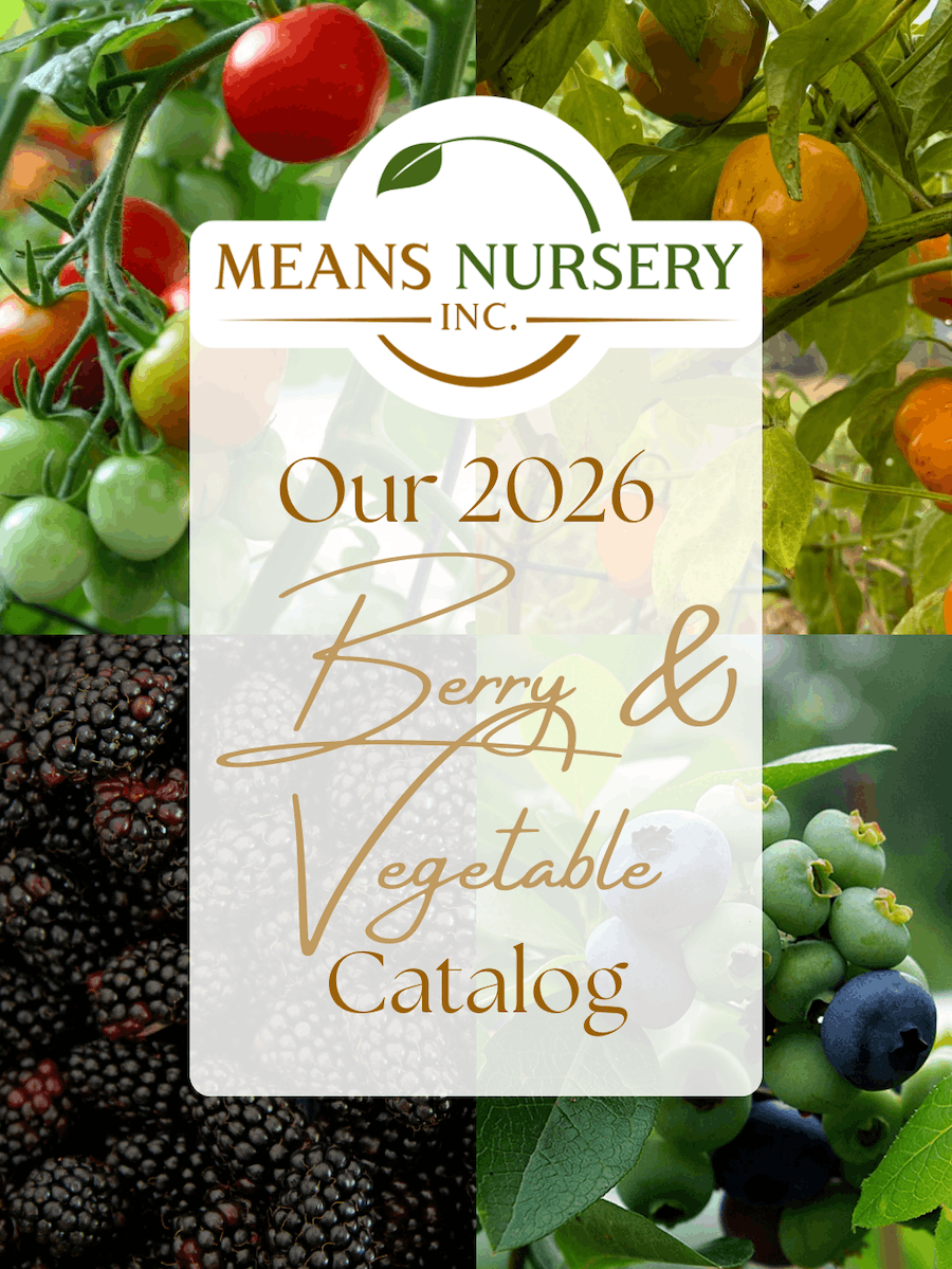 Berry and Vegetable 2026 2026