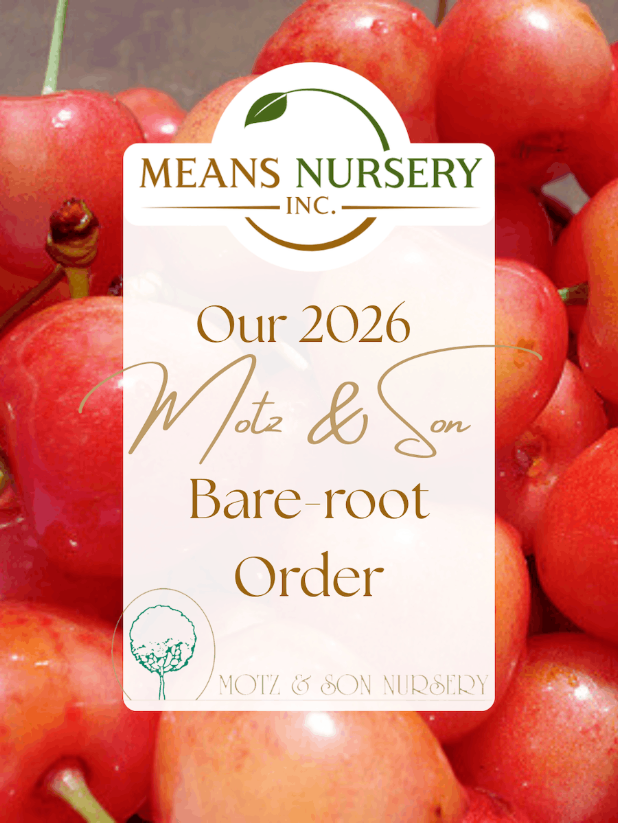 Bushel and Berry sheet