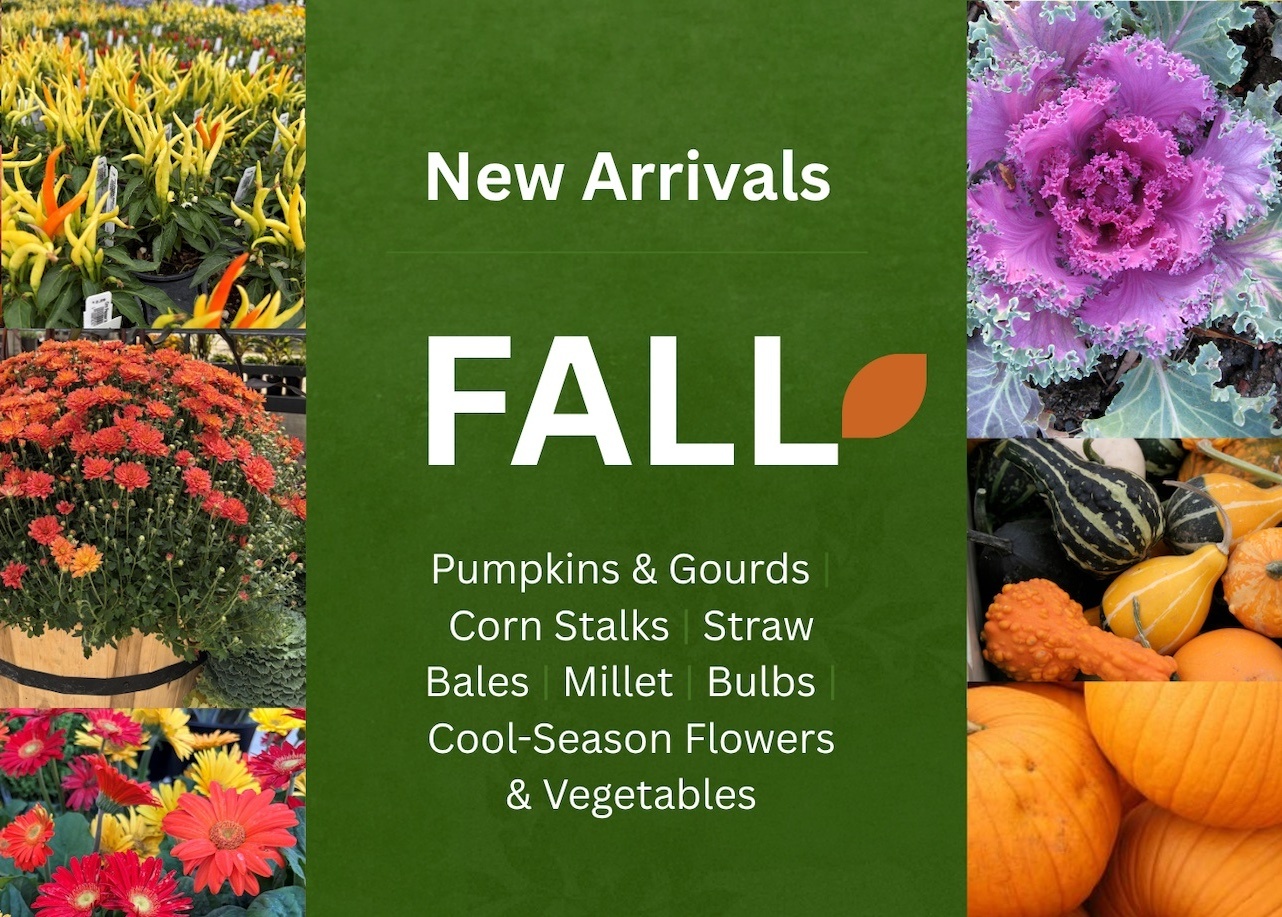 fall scappoose nursery plants