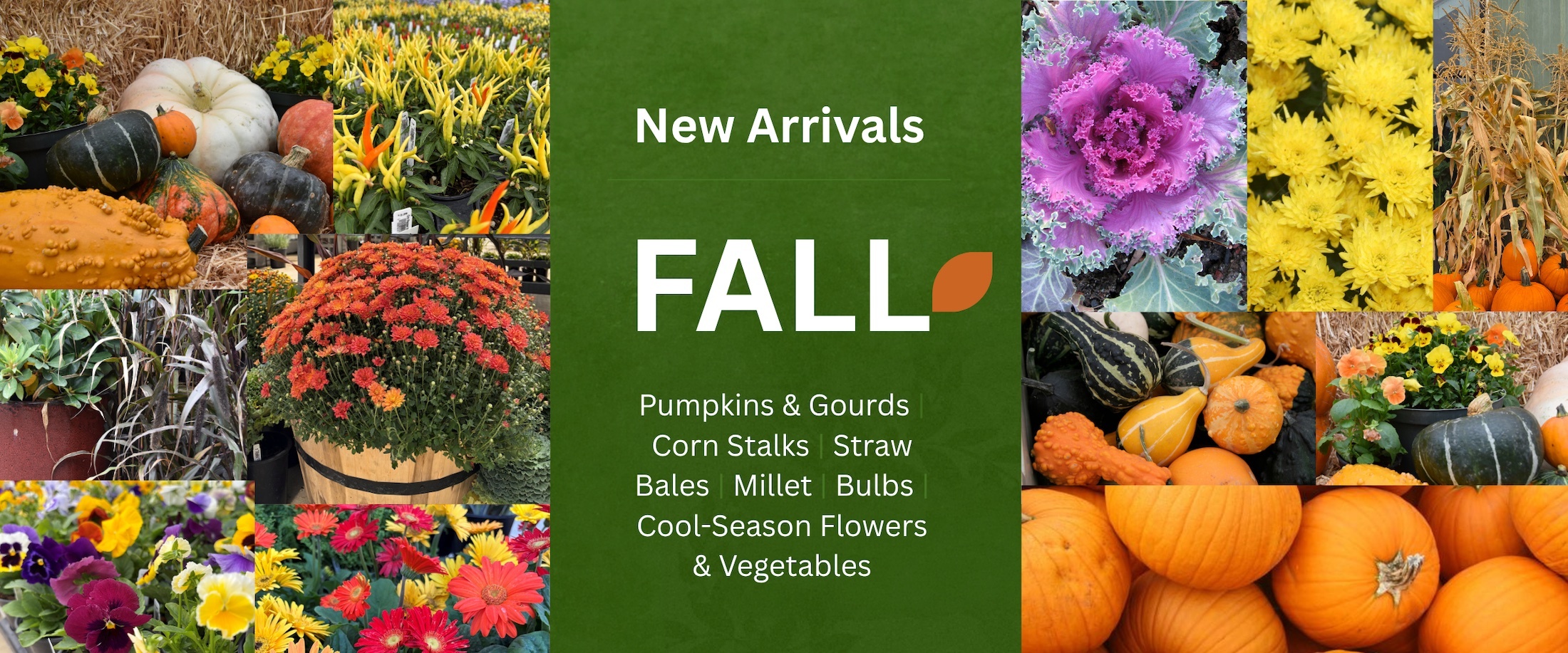 fall scappoose nursery plants