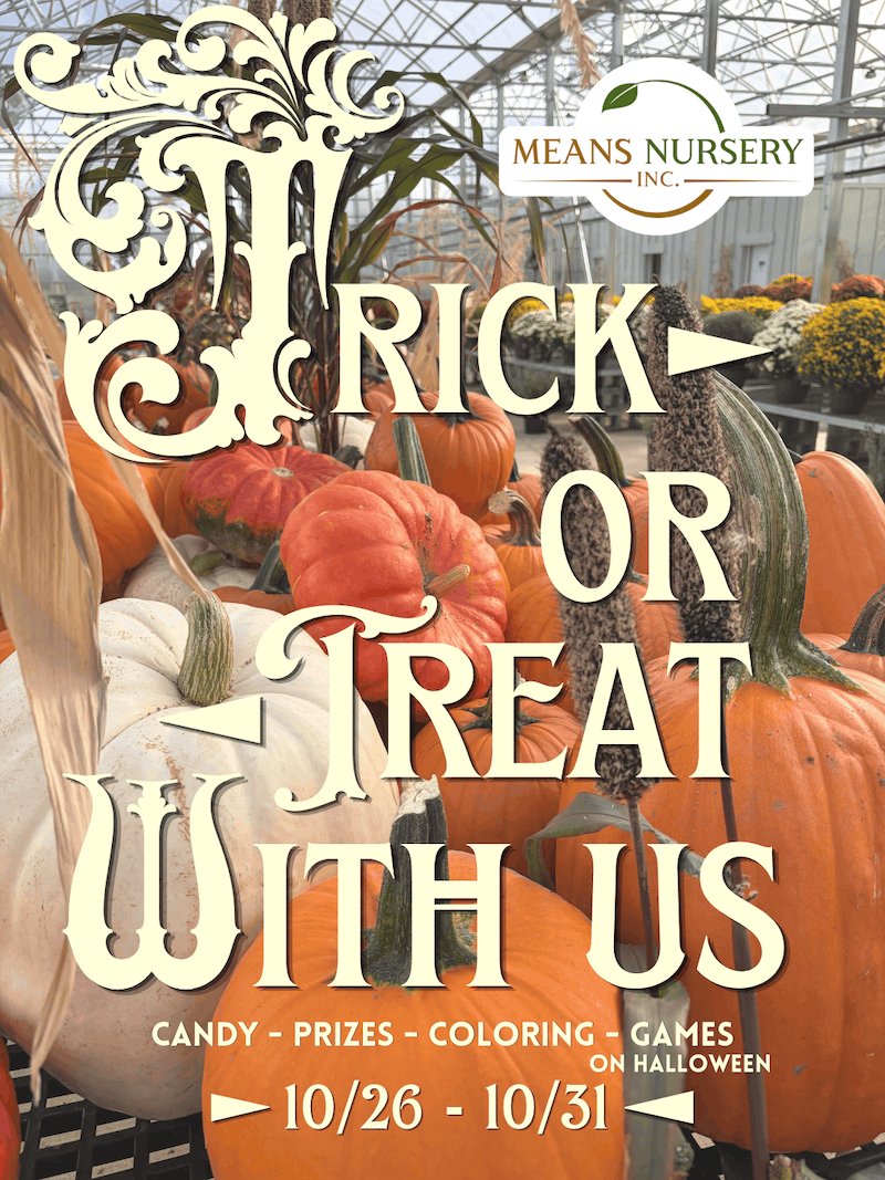 halloween special